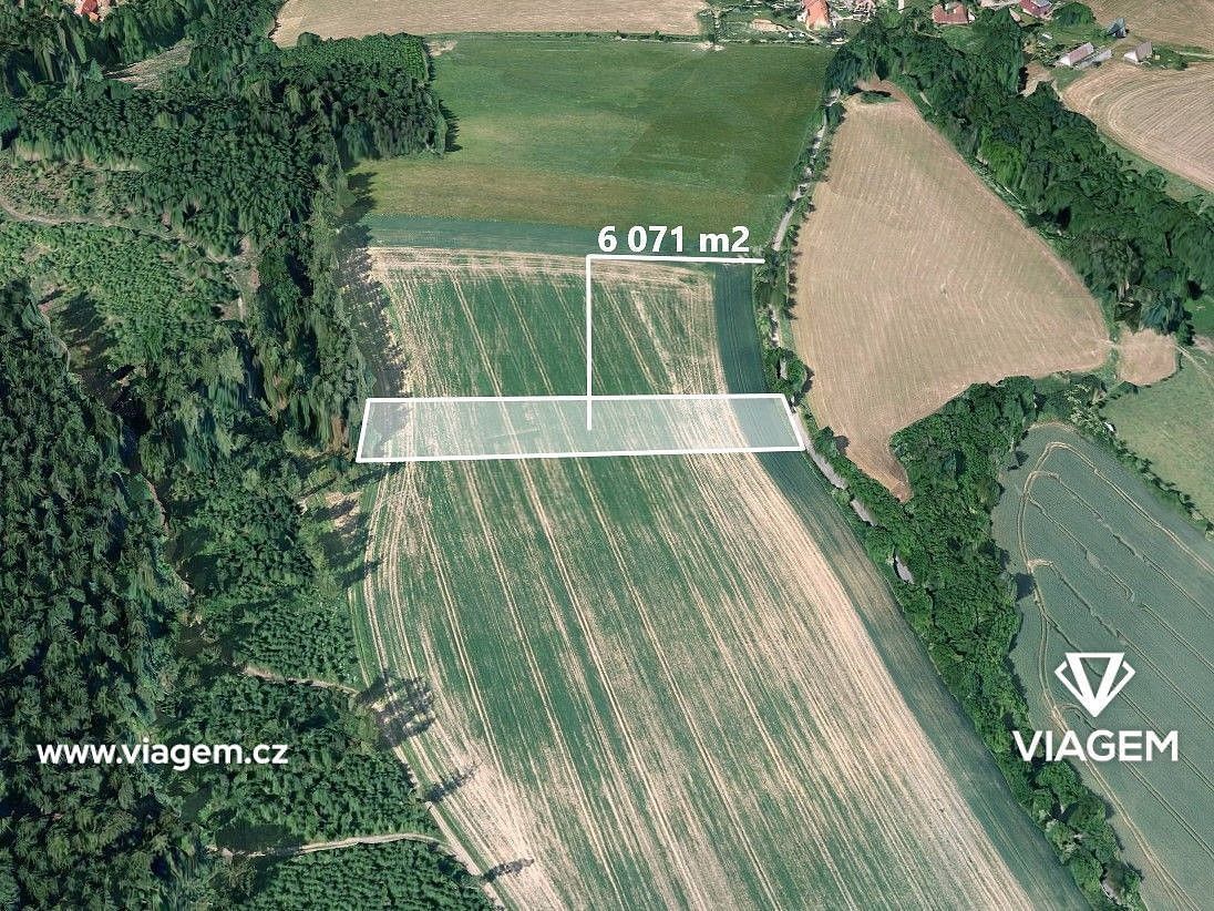 Zemědělské pozemky, Dolní Hořice, okres Tábor - 1