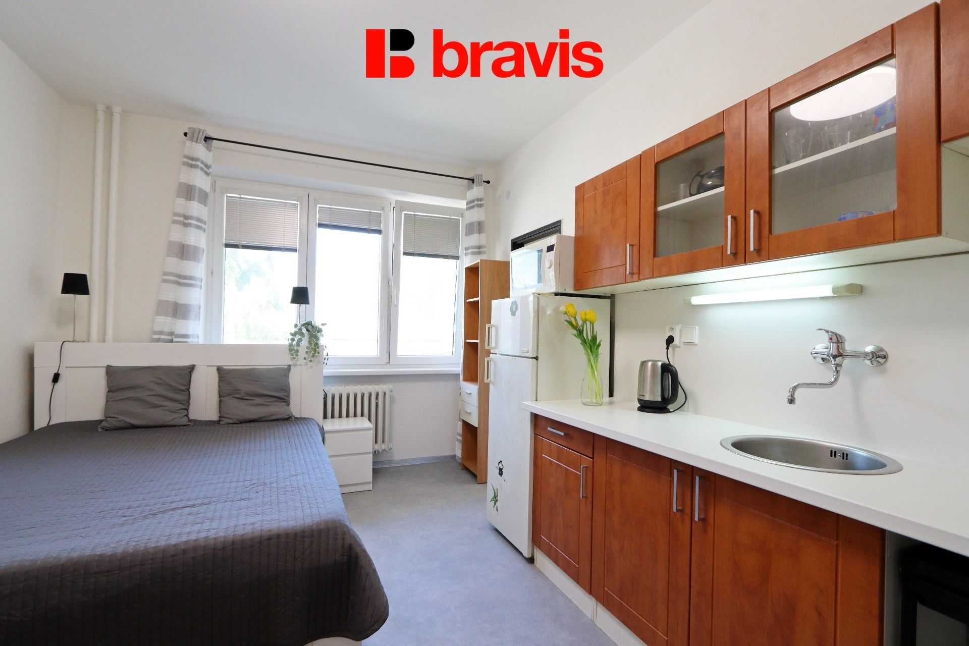 1+kk, Leitnerova, Brno, 22 m²