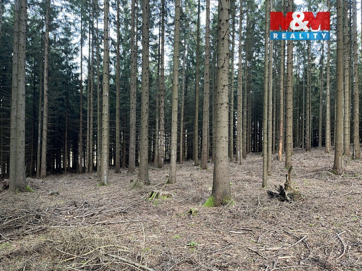 Prodej pozemek pro bydlení - Jimramov, 592 42