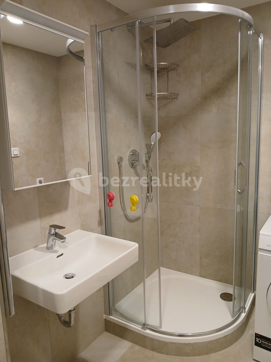 Pronájem byt 1+kk - Šrámkové, Praha - Žižkov, 29 m² - 5