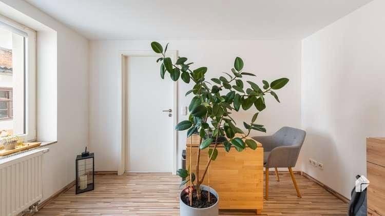 Byt 4+1 · 127 m² · , Braniborsko - 3