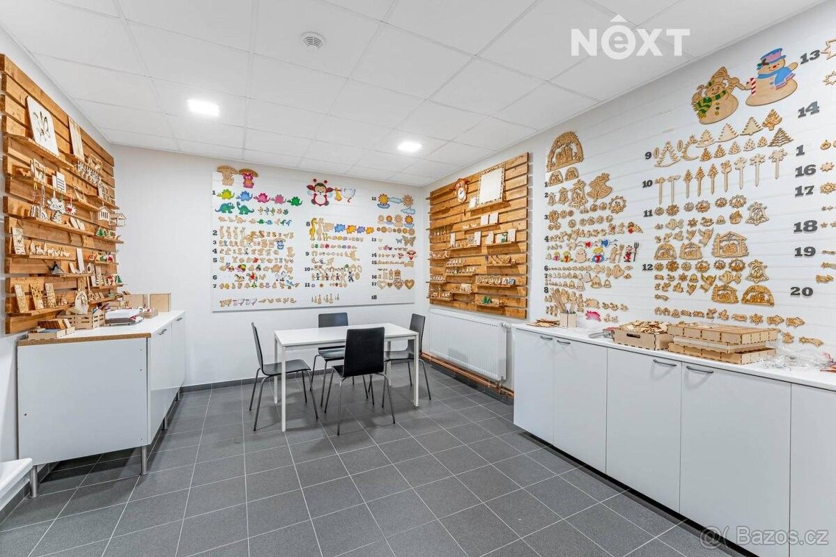 Pronájem ostatní - Česká Třebová, 560 02