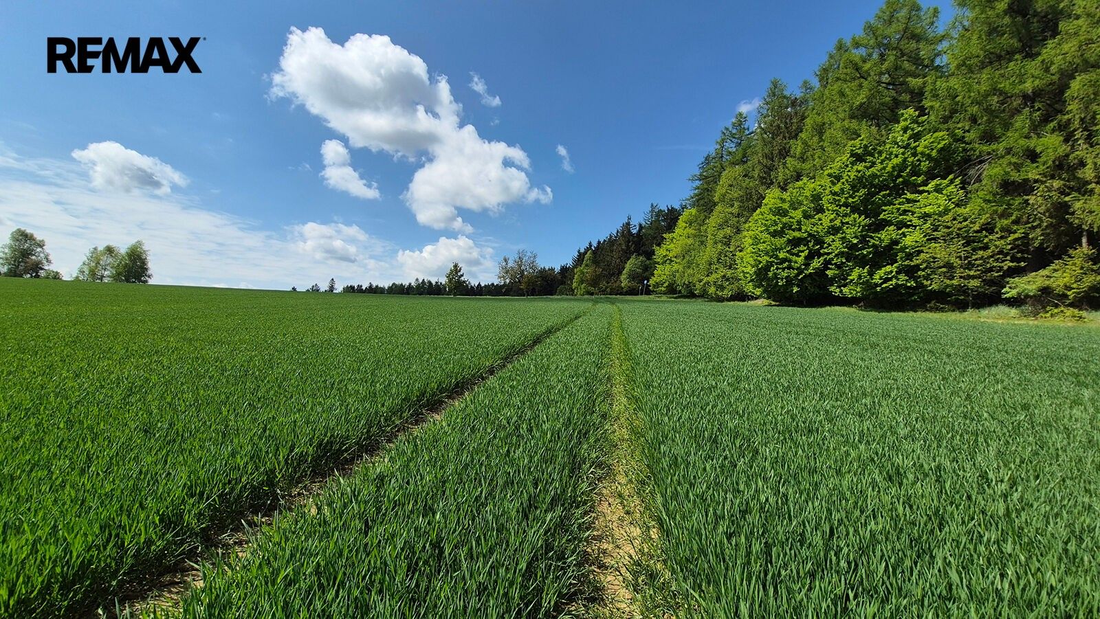 Prodej pozemek pro bydlení - Borová, 5 776 m² - 5
