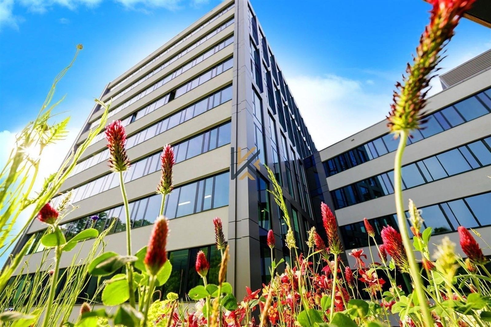 Kanceláře, Plzeňská, Praha, 800 m²