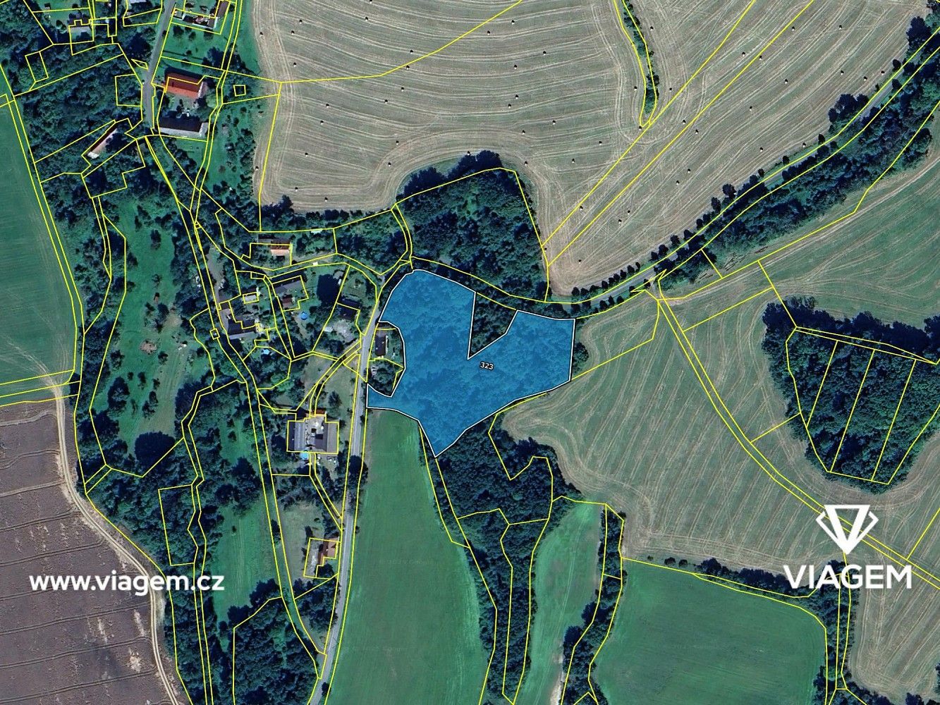 Les · Kravaře, okres Česká Lípa, Liberecký kraj - 4