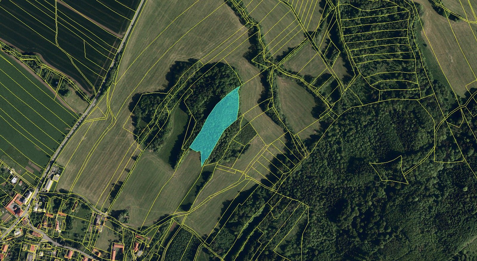 Les · Starý Jičín - Hromnice - 3