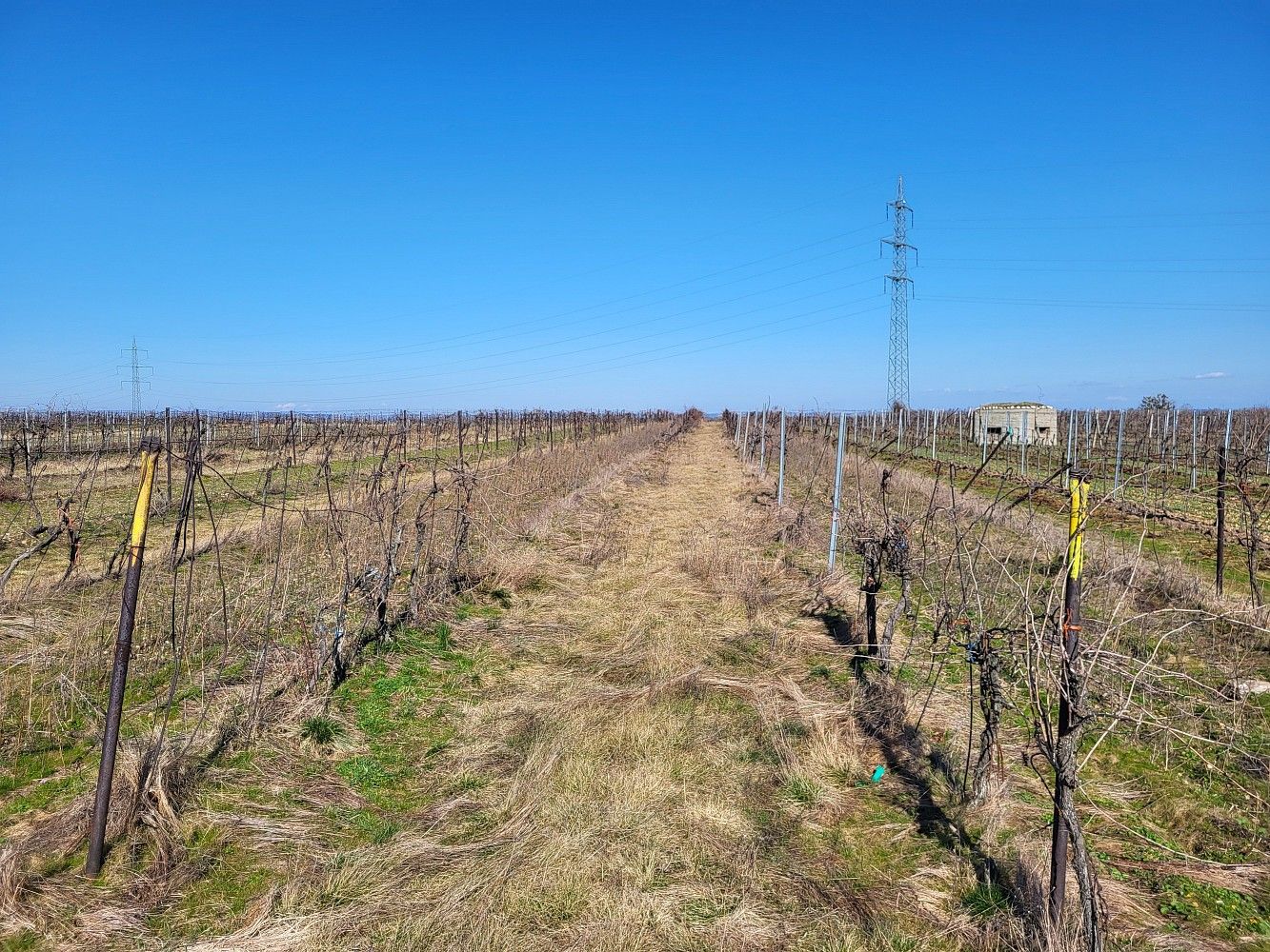 Pozemek · Valtice, okres Břeclav - 3