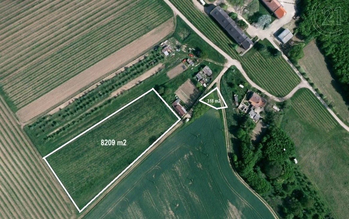 Prodej zemědělský pozemek - Bzenec, 8 528 m²