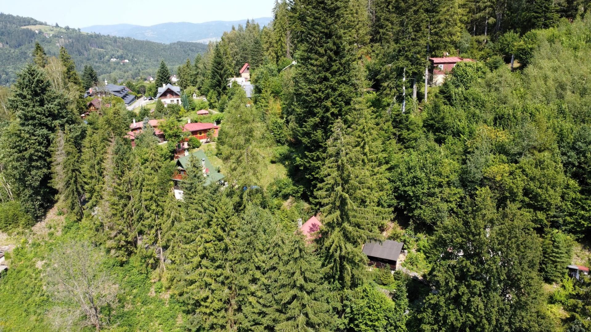 Lesy, Dolní Lomná, 644 m²