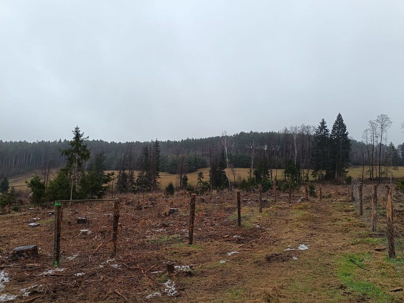 Les · Vacovice, okres Strakonice, Jihočeský kraj - 3