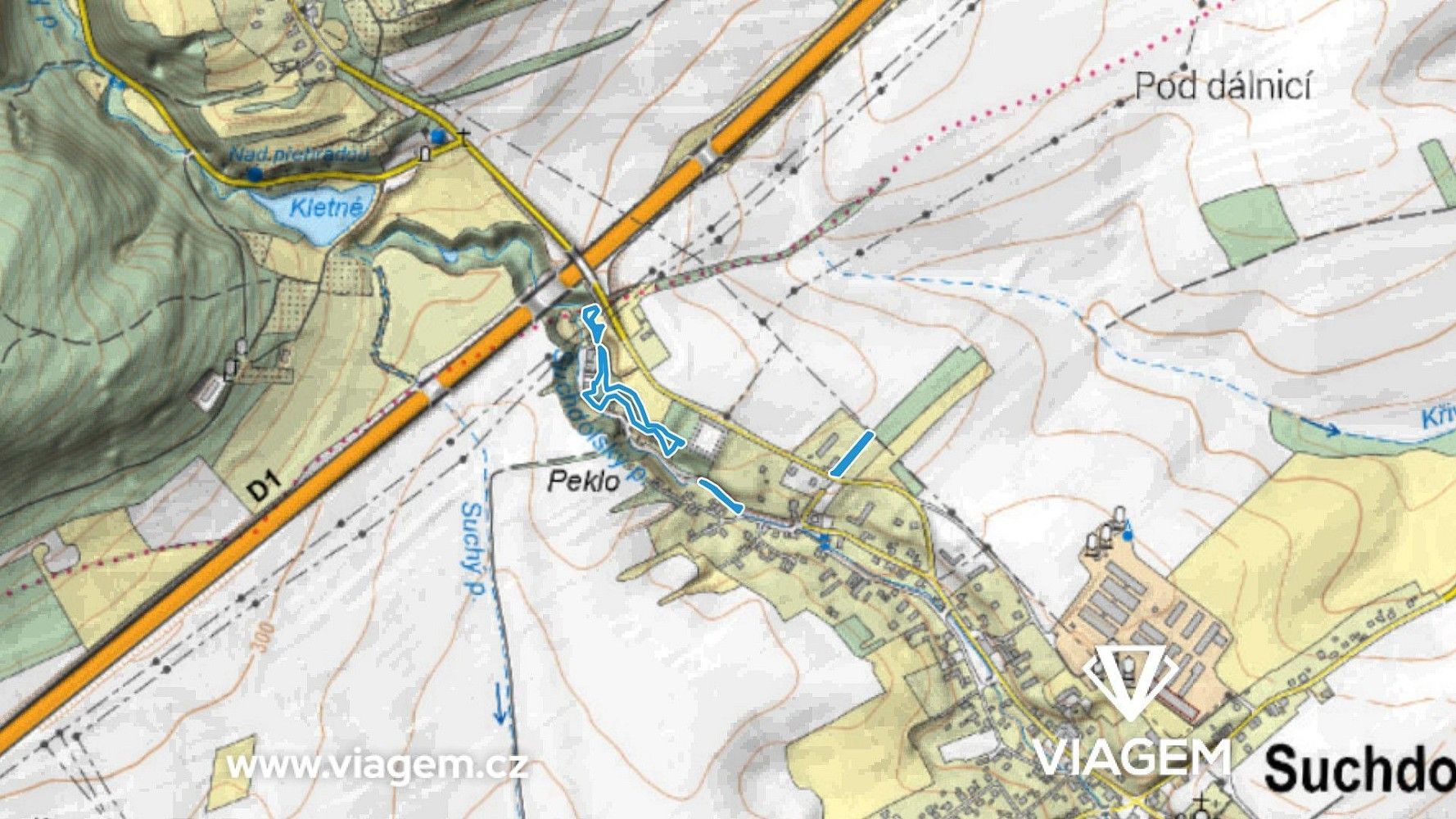 Les · Suchdol nad Odrou, okres Nový Jičín, Moravskoslezský kraj - 3