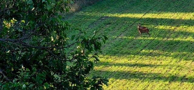 Prodej chata - 987 66, Zahraničí