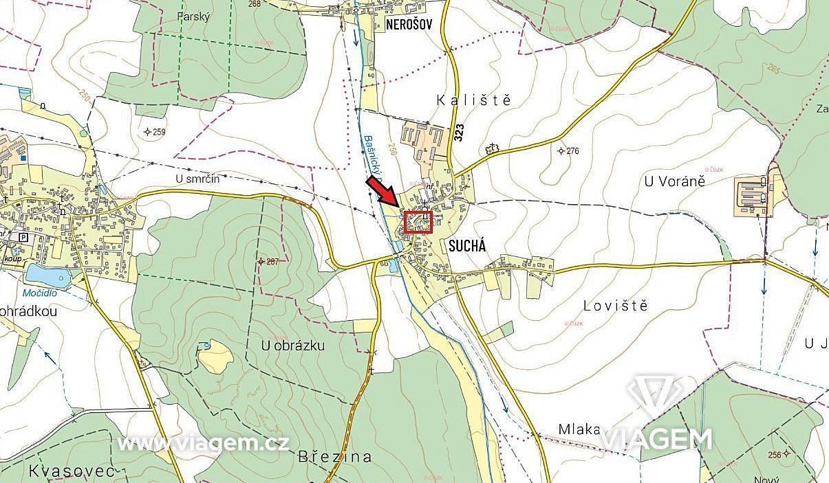 Zahrada · Nechanice, okres Hradec Králové, Královéhradecký kraj - 4
