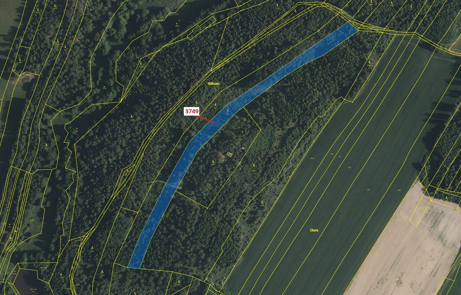 Prodej les - Bořetín, okres Jindřichův Hradec, Jihočeský kraj - 2