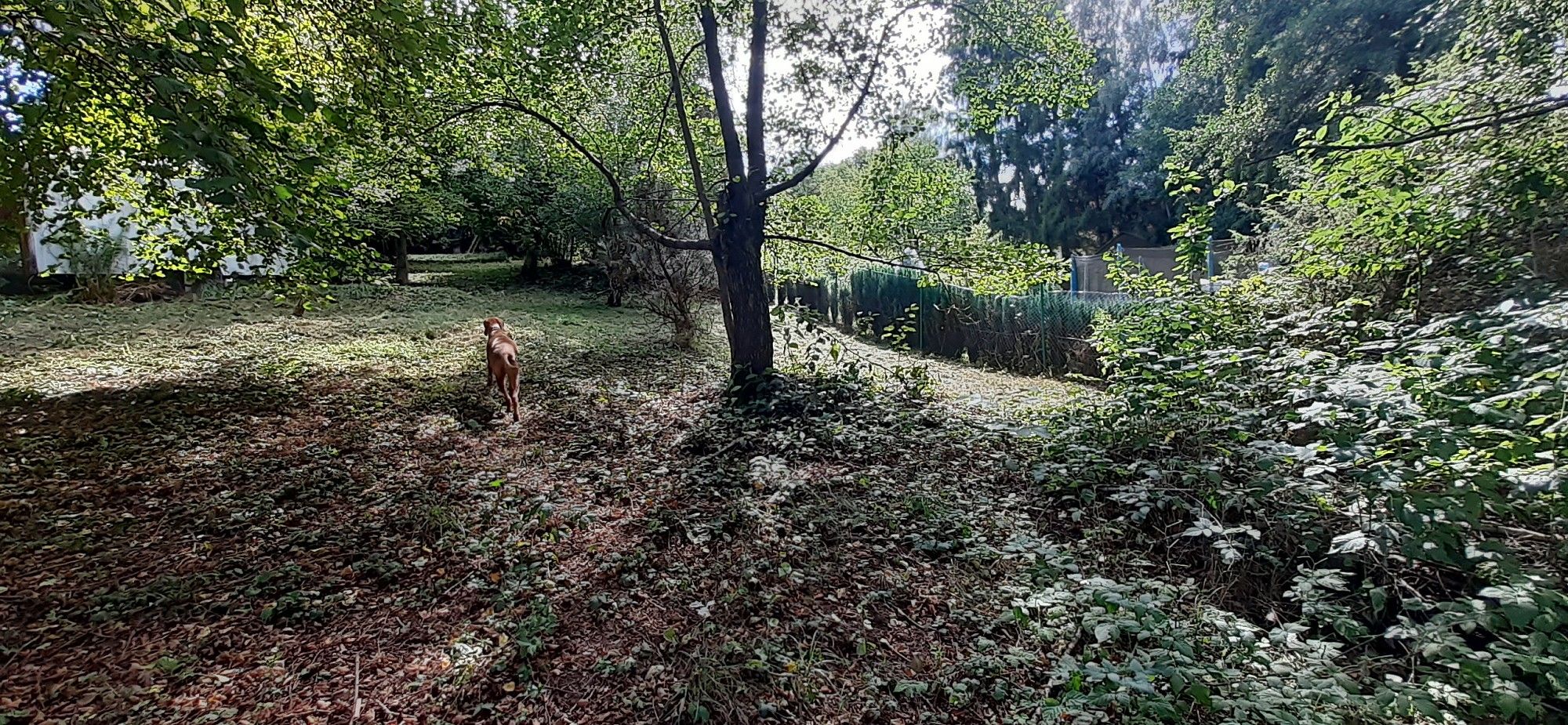 Pozemek pro bydlení · U tunelu, Senohraby, okres Praha-východ - 4