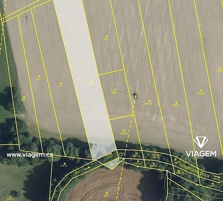 Zemědělské pozemky, Golčův Jeníkov, okres Havlíčkův Brod, Kraj Vysočina - 1