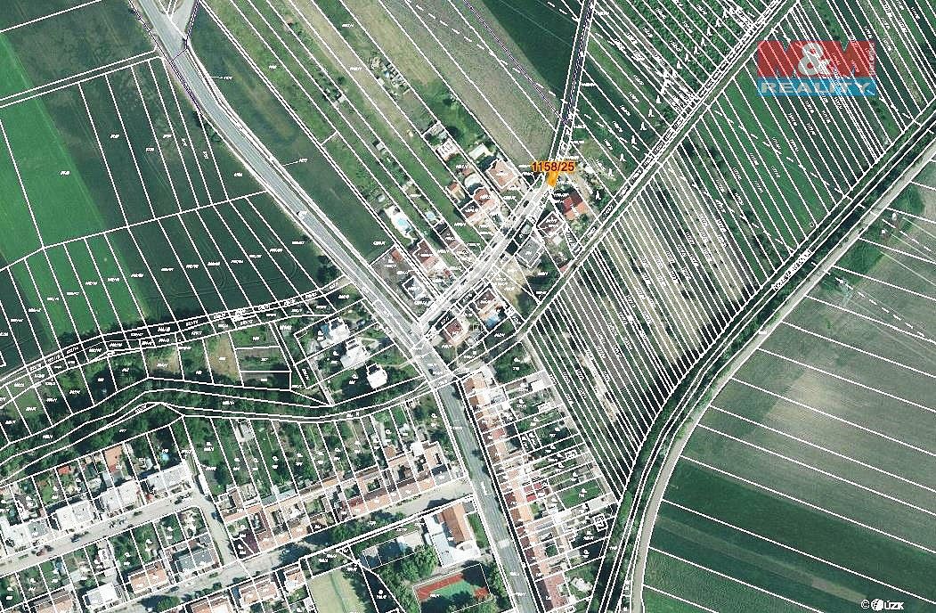 Les · Telnice, okres Brno-venkov, Jihomoravský kraj - 4