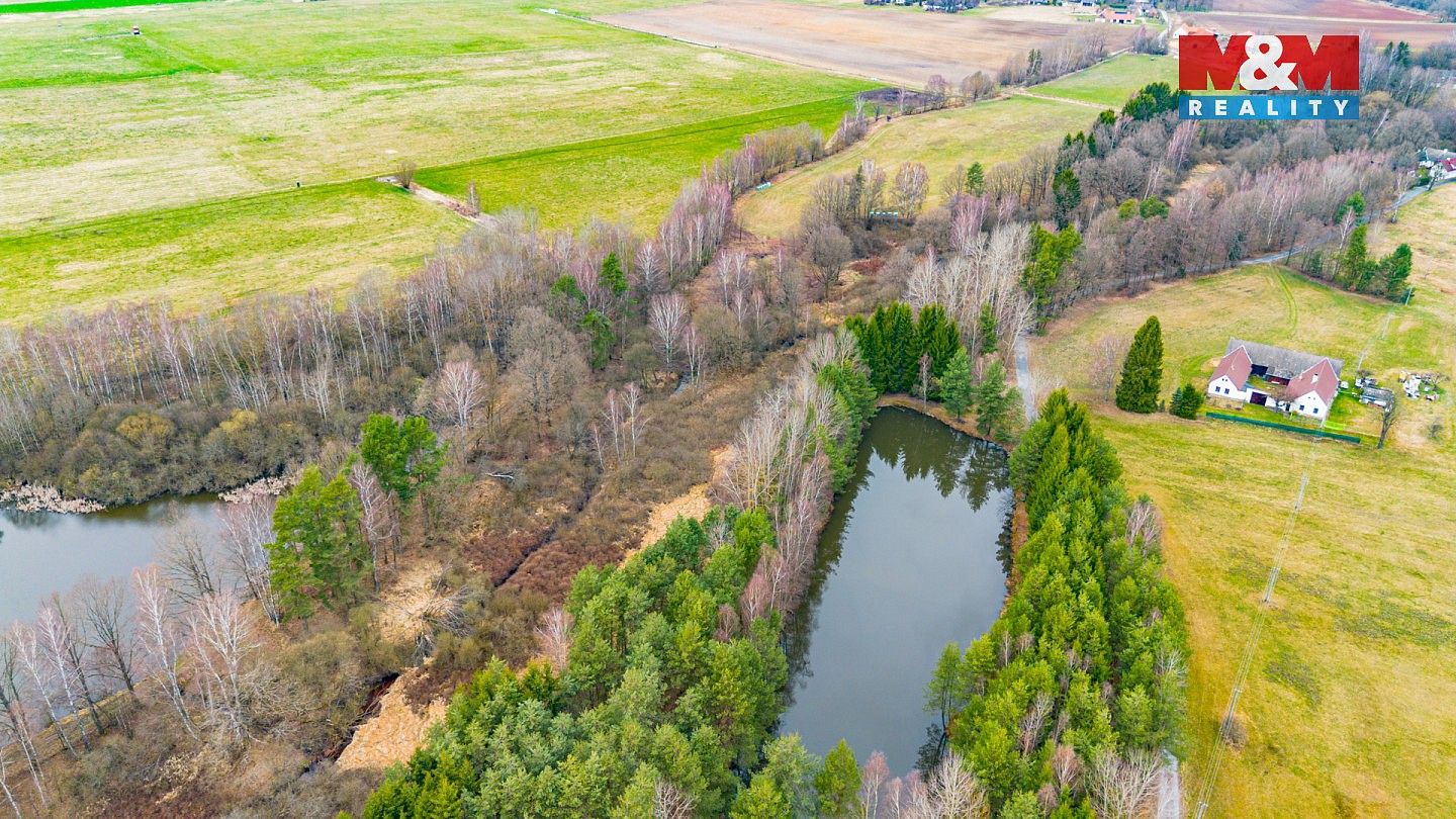 Rybník · Dvory nad Lužnicí, okres Jindřichův Hradec, Jihočeský kraj - 3