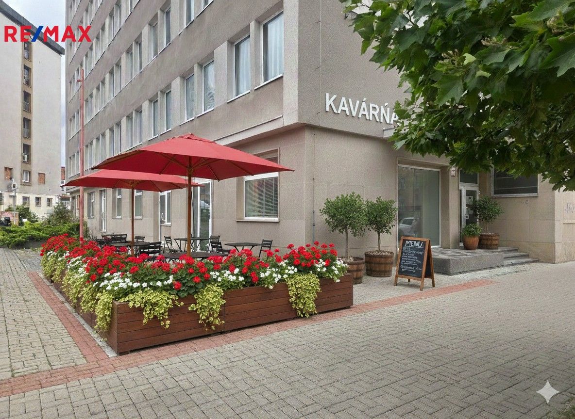 Obchodní prostory, Žižkova tř., České Budějovice, 252 m²