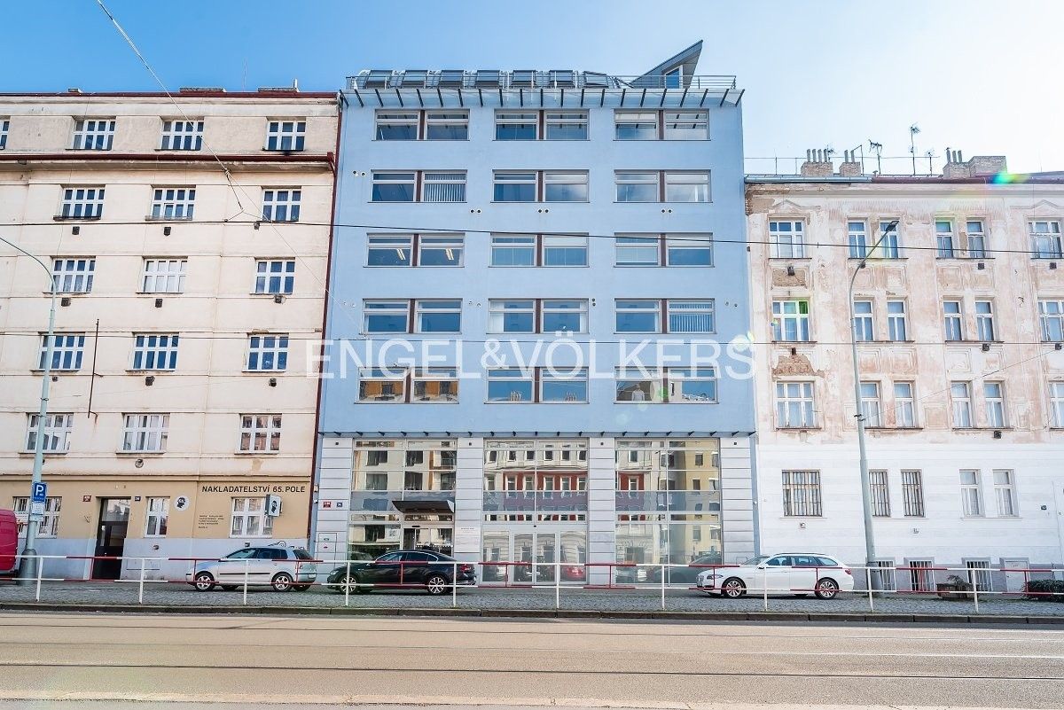 Ostatní, Na žertvách 2196, Praha Libeň, 554 m² - 1