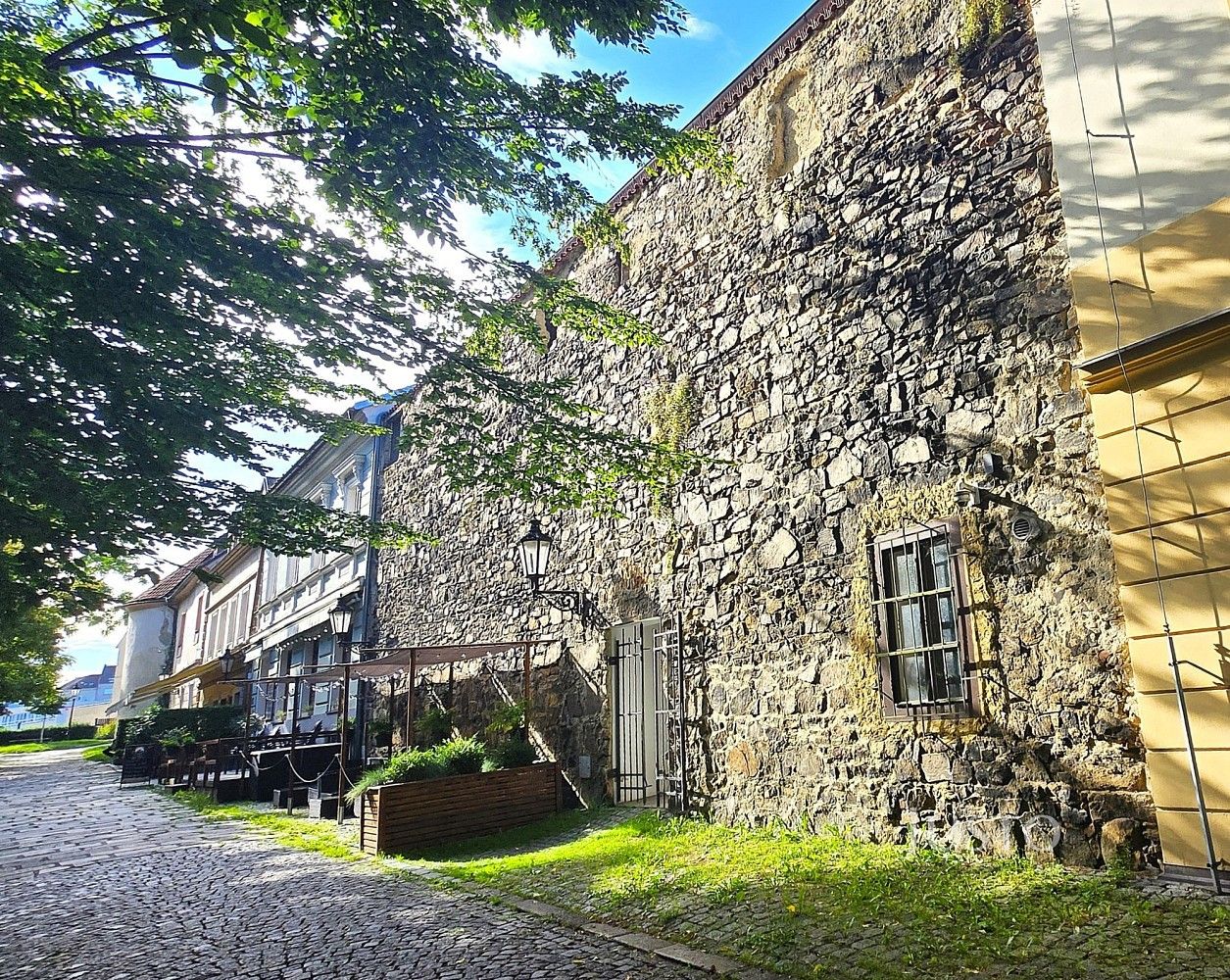Rodinné domy, Písek - Vnitřní Město, Jihočeský kraj, 786 m² - 2