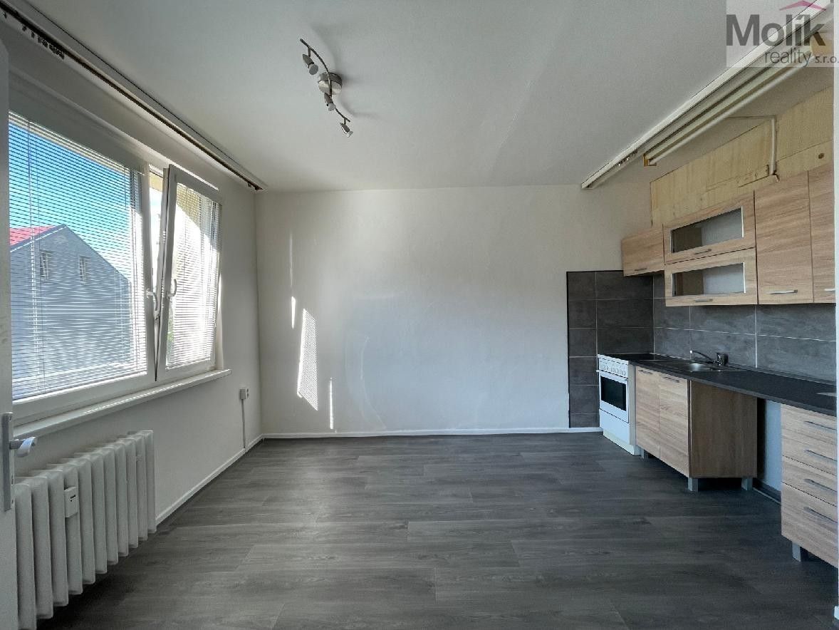 Pronájem byt 1+1 - U Zámeckého parku, Litvínov, 35 m²