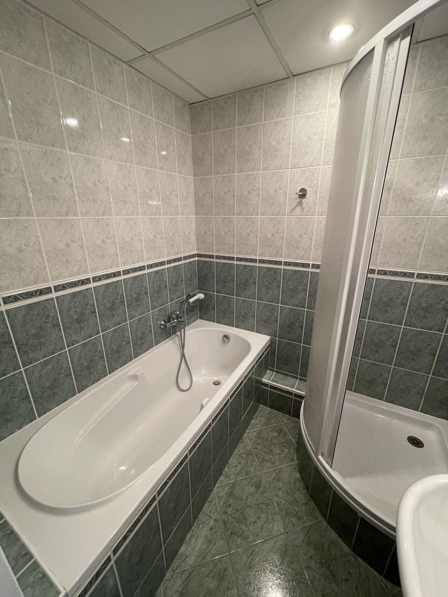 Pronájem byt 4+1 - Daňkova, Praha - Modřany, 83 m² - 5