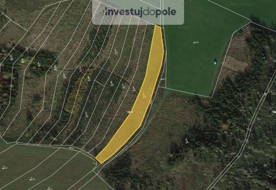 Prodej les - Dačice, 380 01, 3 345 m²