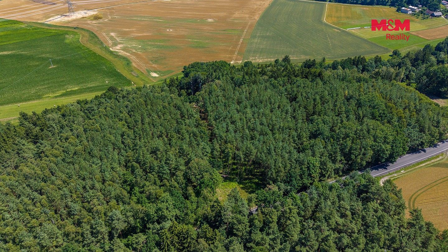 Lesy, Bílá, okres Liberec, Liberecký kraj - 2