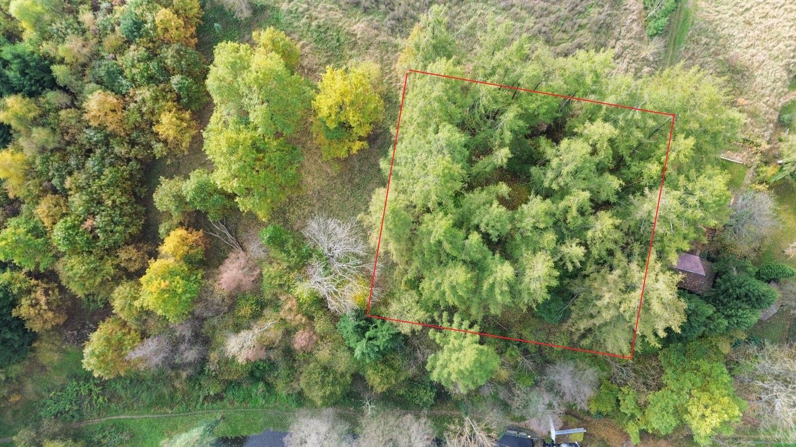 Prodej les - Kunžatecká, Strmilov, 986 m²