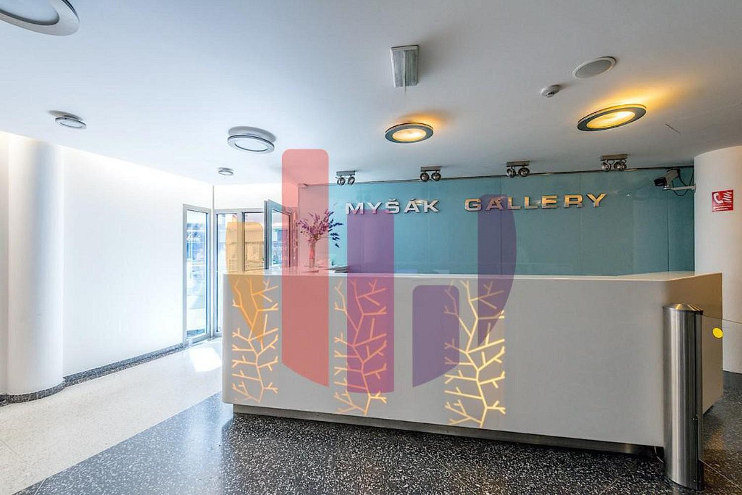 Kanceláře, Praha - Nové Město, okres Praha 1, Hlavní město Praha, 166 m² - 2