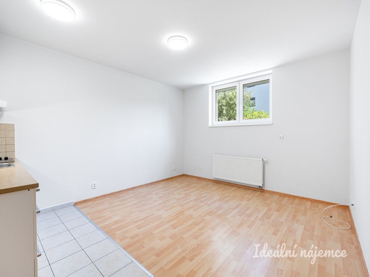 1+kk, Dobrovolného, Praha, 31 m² - 1