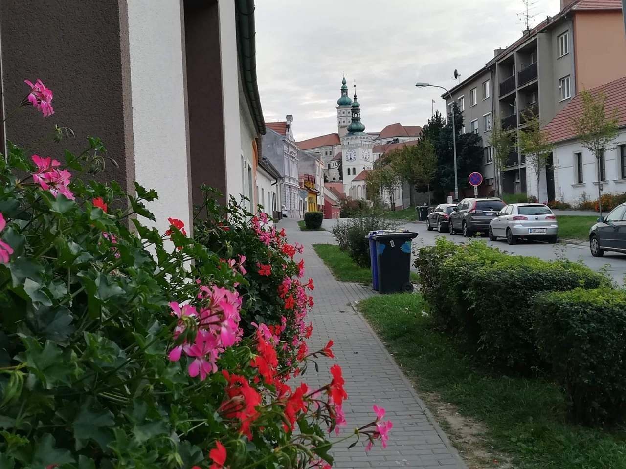 Chata · Mikulov na Moravě, Jihomoravský kraj - 3