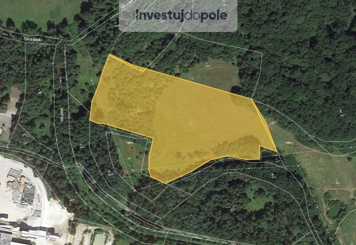 Prodej louka - Nová Role, 362 25, 6 450 m²
