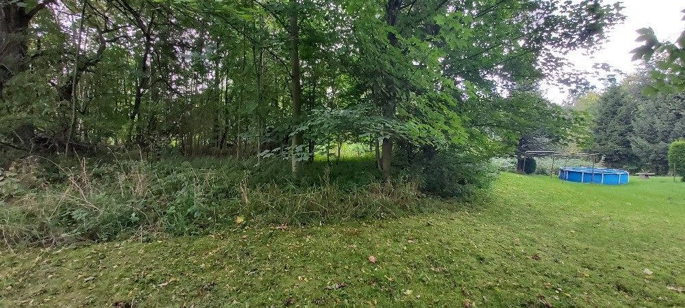 Prodej pozemek pro bydlení - Dolní Poustevna, 407 82