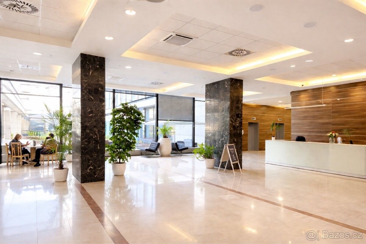 Kanceláře, Praha, 100 00