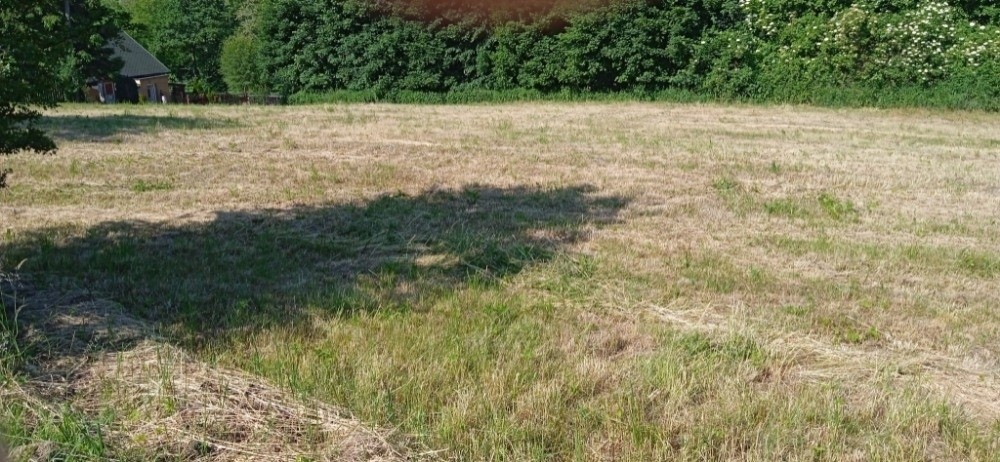 Pozemek pro bydlení · Petřvald u Karviné, 735 41 - 4