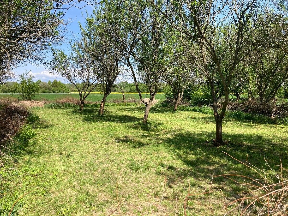 Zahrady, Olomouc, 779 00