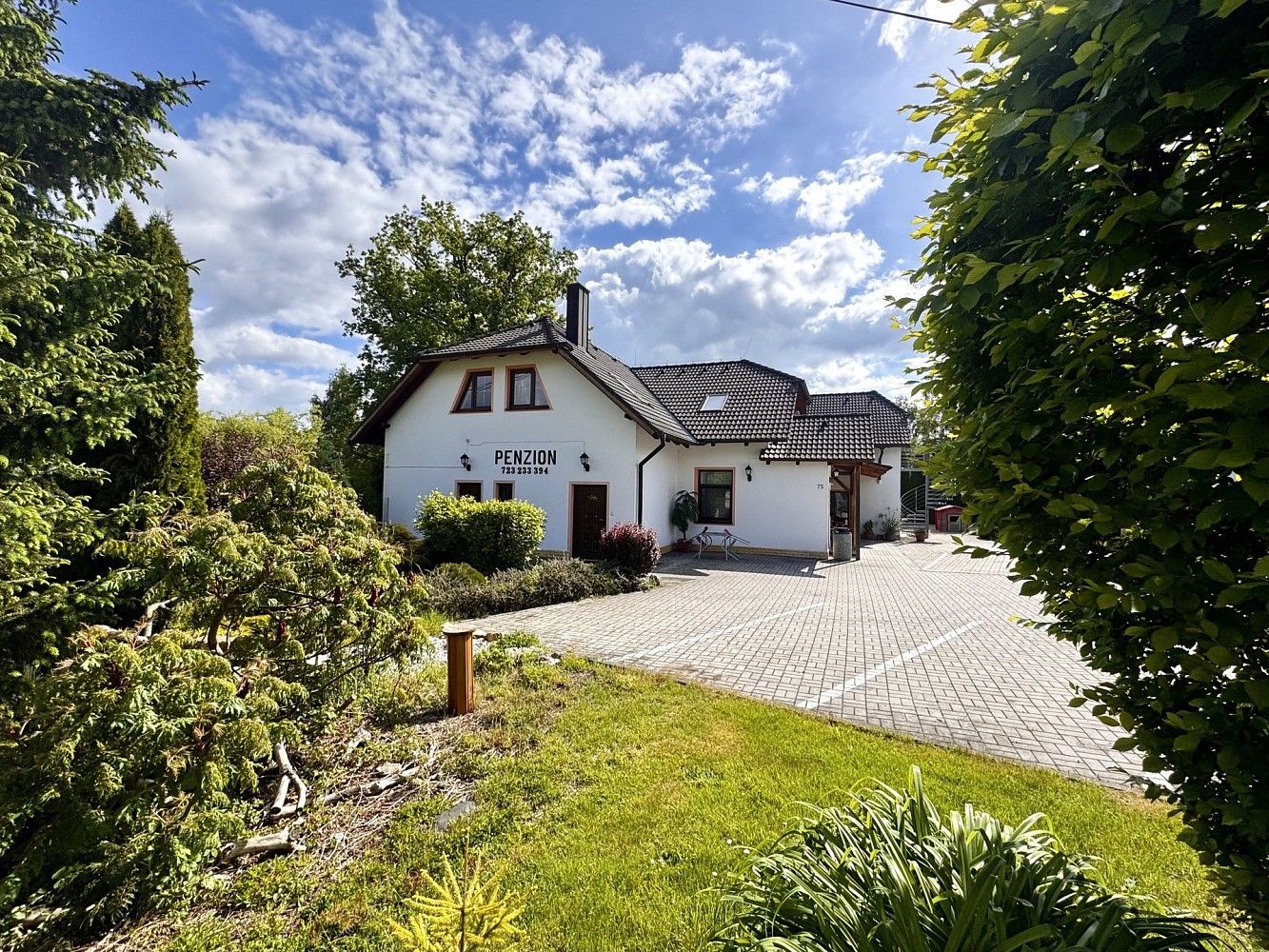 Rodinné domy, Tachov - Vítkov, Plzeňský kraj, 480 m² - 1