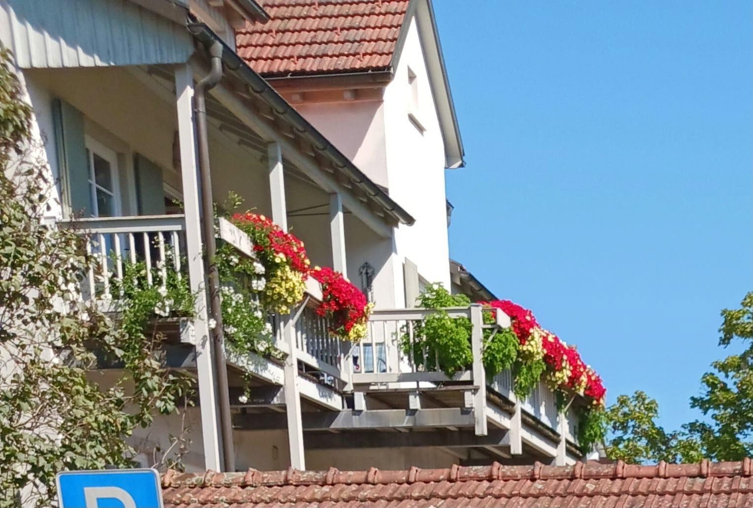 6+kk a více, , Bádensko-Württembersko, 158 m² - 1