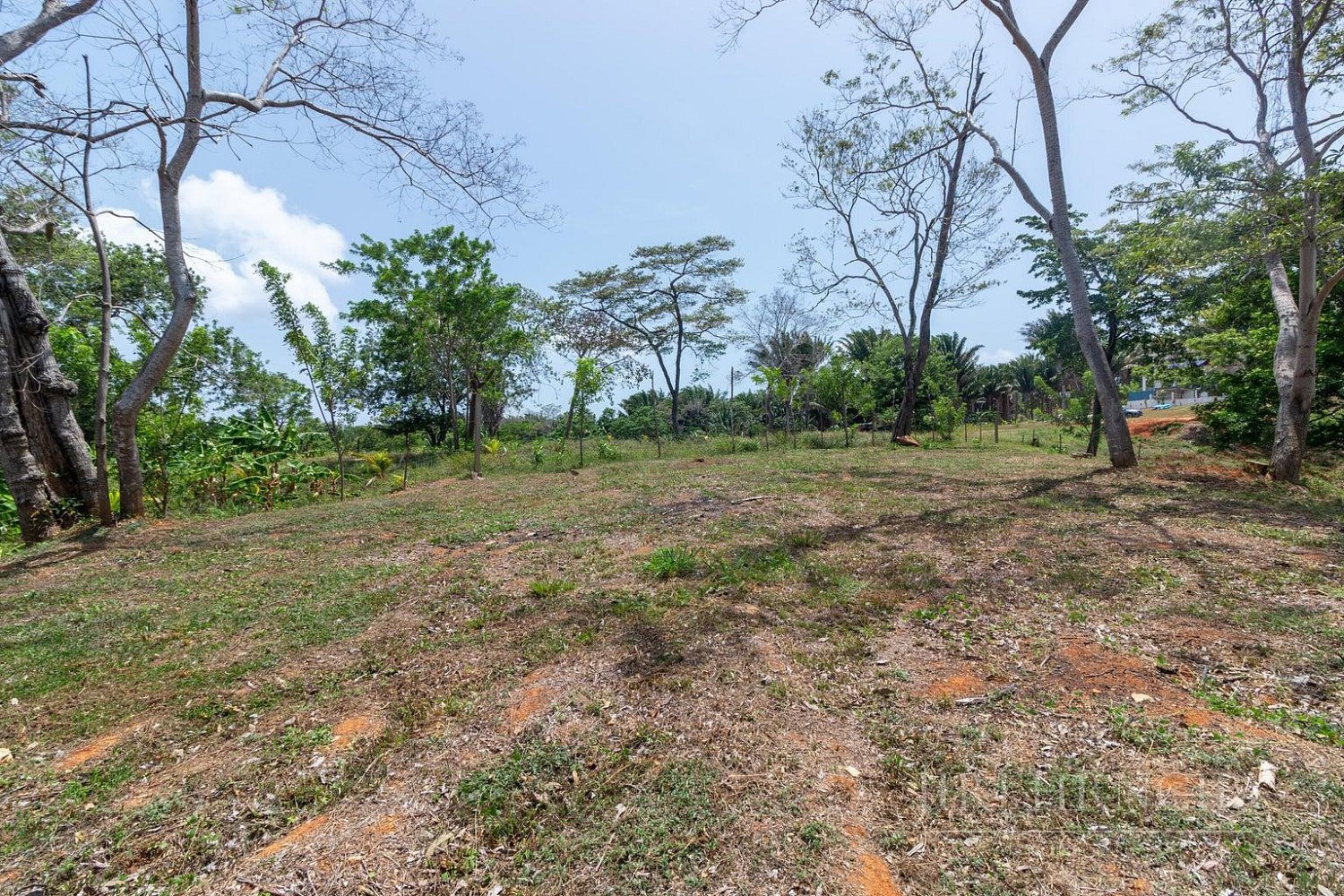 Prodej pozemek pro bydlení - Coxen Hole, Bay Islands, Honduras, Honduras - 5