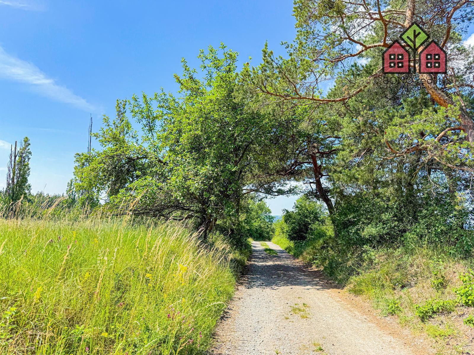 Zemědělský pozemek · 36 791 m² · Stračí, Štětí - 3