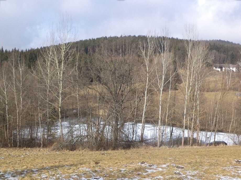 Louky, Chvalšiny - 2