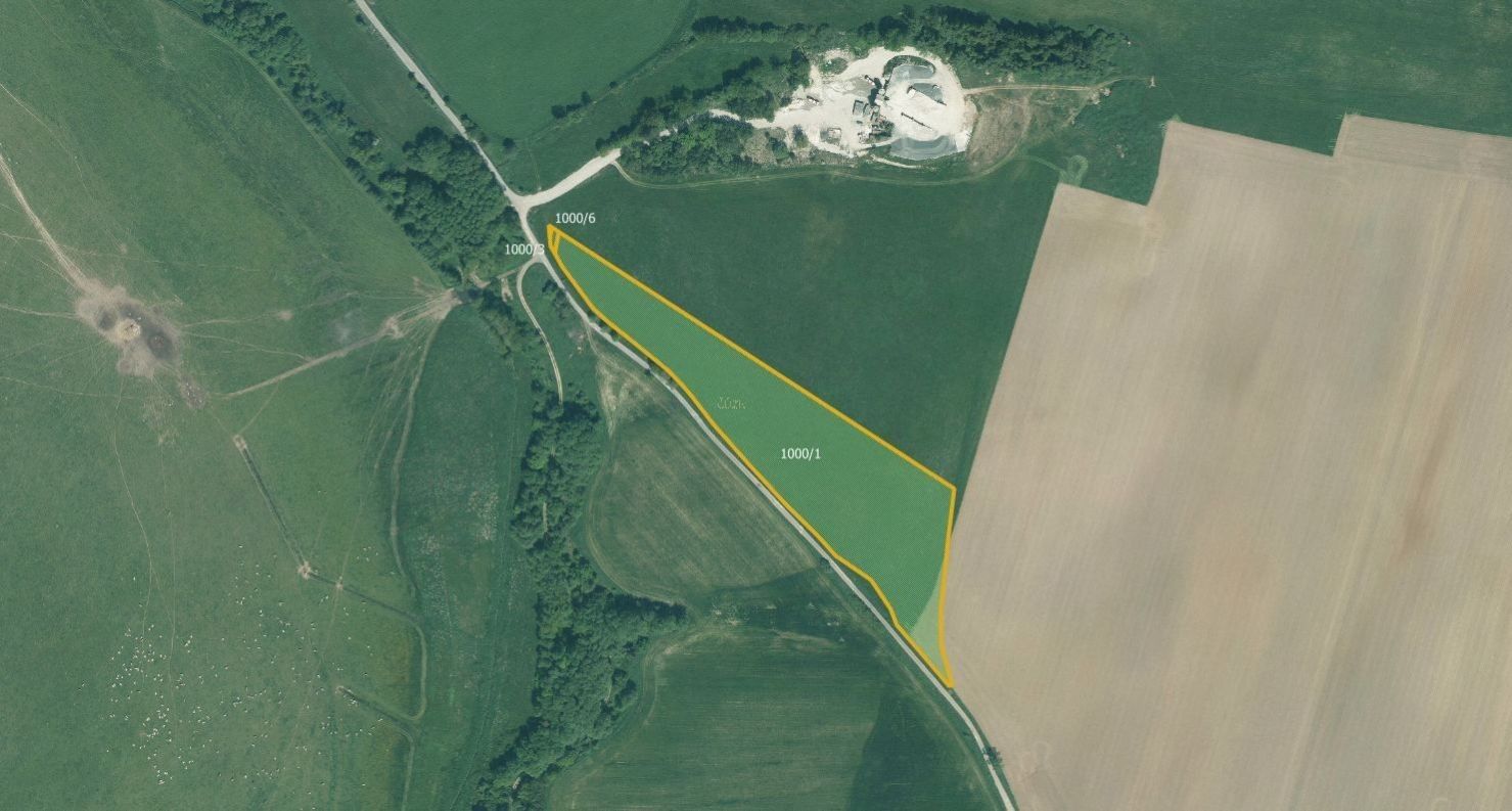 Zemědělské pozemky, Skviřín, Bor