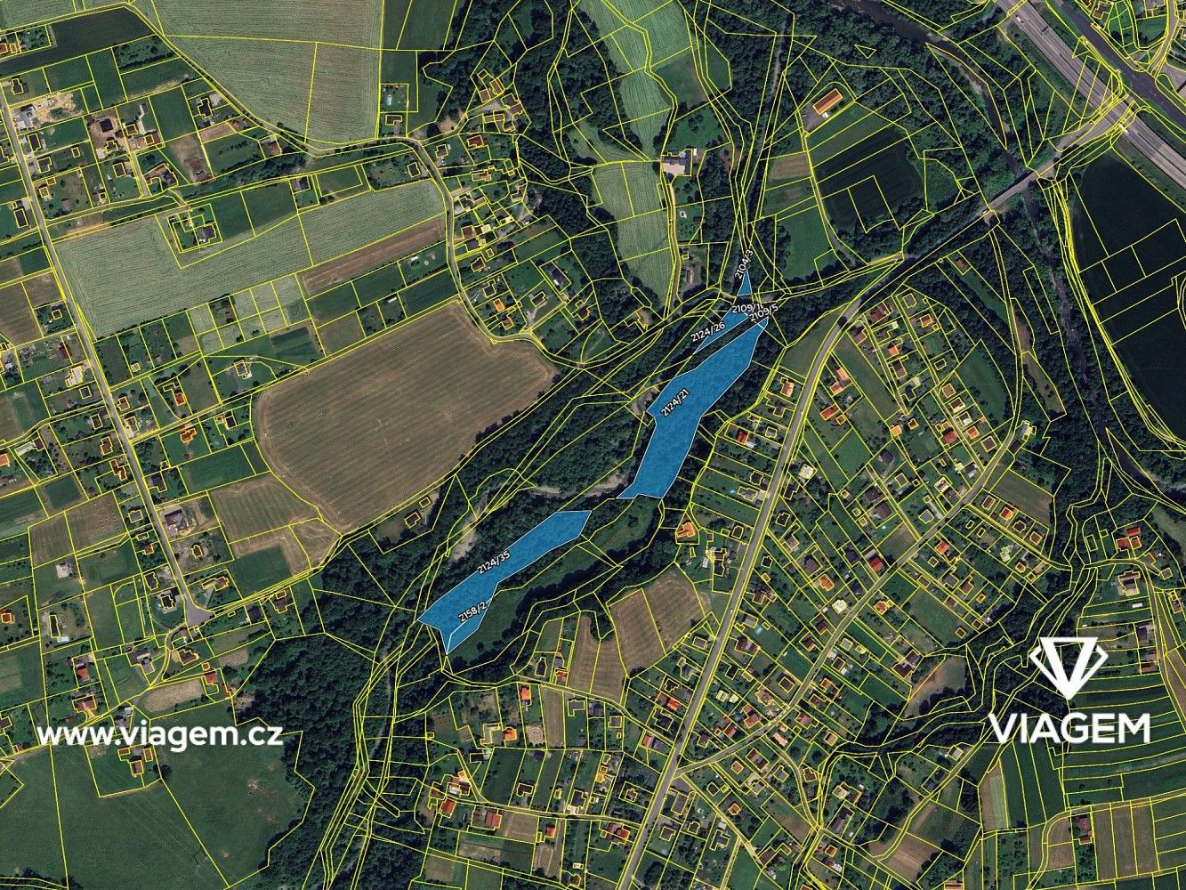 Les · Bystřice, okres Frýdek-Místek, Moravskoslezský kraj - 4