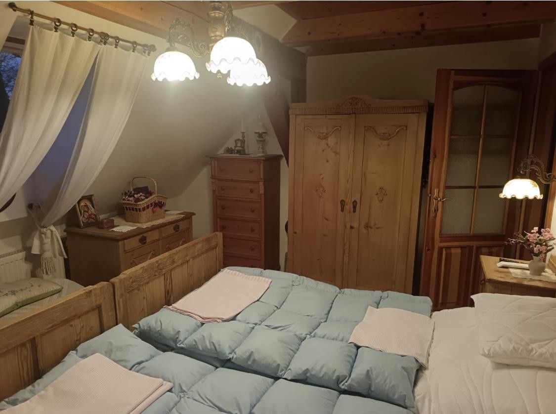 Rodinný dům · 300 m² · Dřevíkov, Vysočina - 3