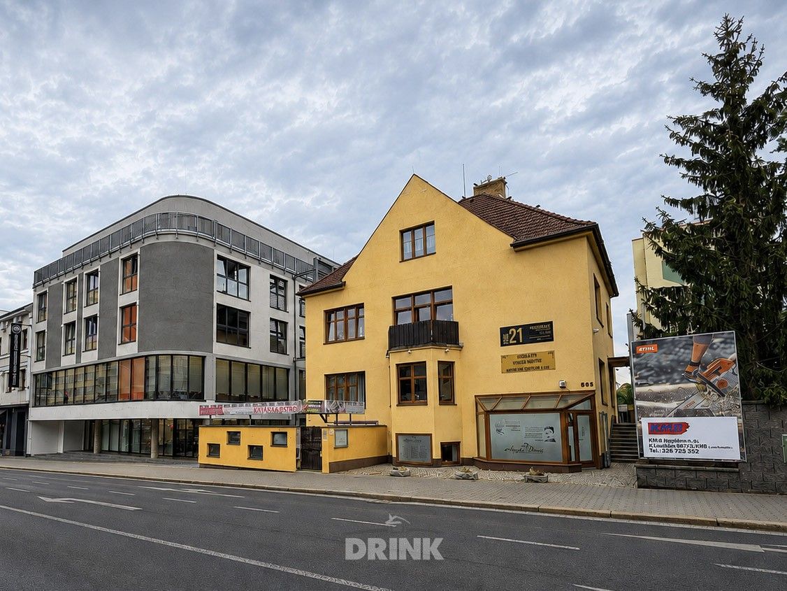 Ostatní, tř. Václava Klementa 595, Mladá Boleslav II, 48 m² - 2
