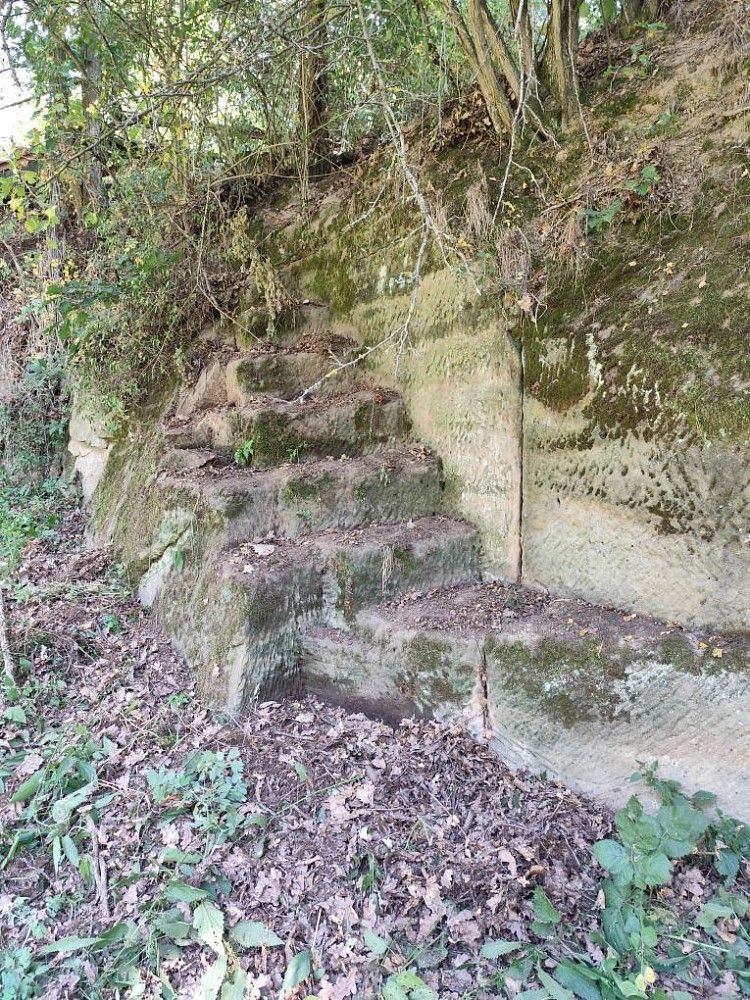 Prodej zahrada - Mšeno, okres Mělník, Středočeský kraj - 5