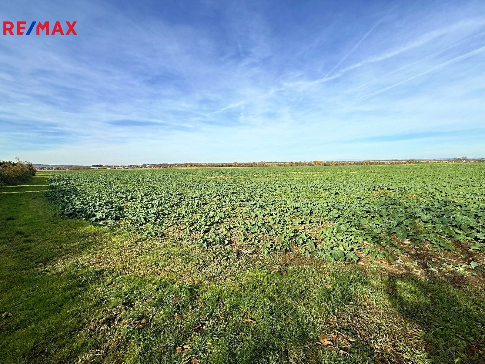 Prodej pozemek pro bydlení - Dukelská, Chrast, 4 m²