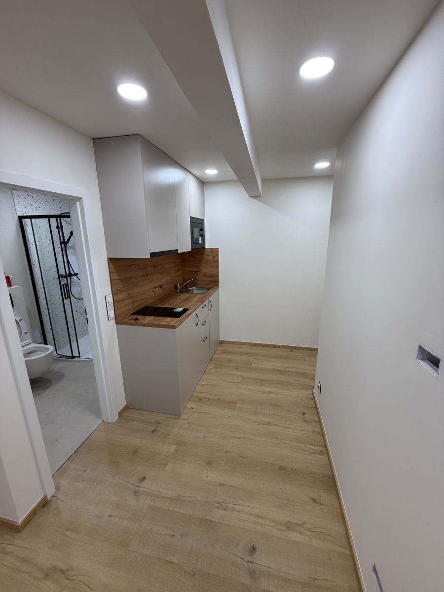 1+kk, Na Jezerce, Praha - Nusle, 22 m² - 1